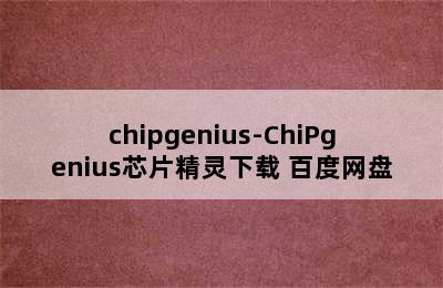 chipgenius-ChiPgenius芯片精灵下载 百度网盘